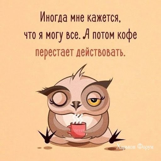 358481f0264971bc45cb7.jpg
