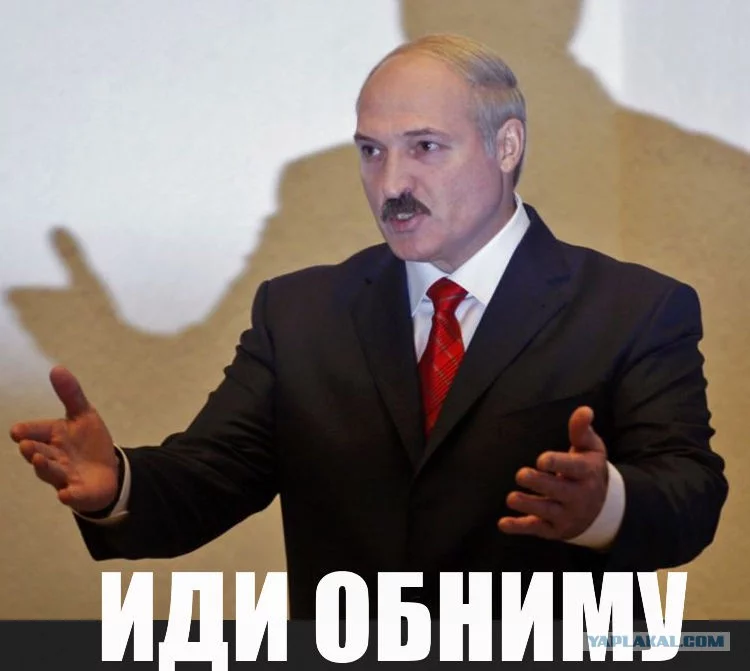 3586994.webp