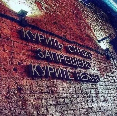 358839e7b30d2ac6d.webp