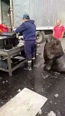 3589e9a03167d4e2ad60f470.gif