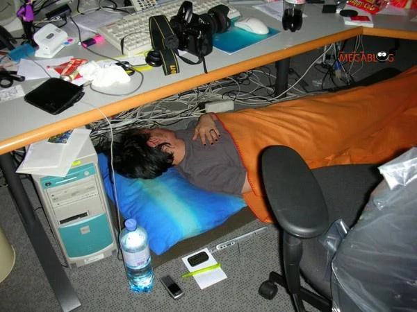 35942458_sleepingworkst.webp
