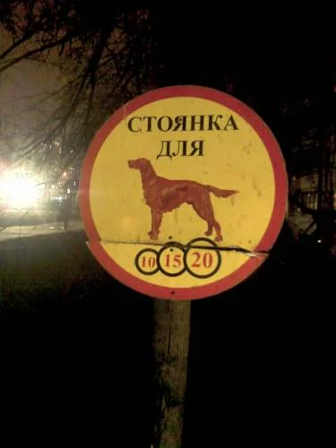 359719293.webp