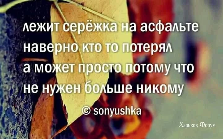 3599161bbb67ca1c030.webp