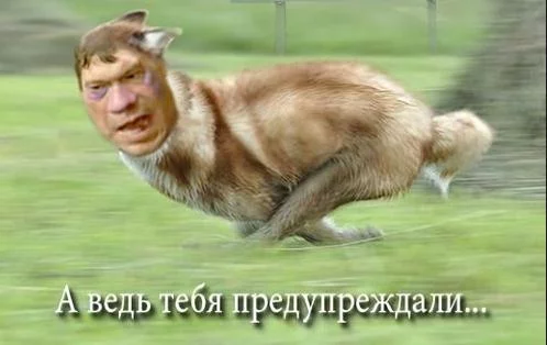 35a2bd900f613628a57852e8aa71e02e.webp