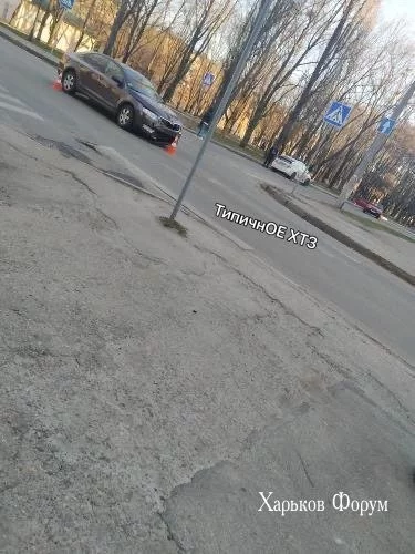 35b1e04bb0f8b01db8.webp