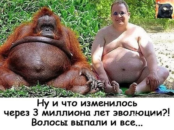 35ca25e9b6018b7c0e1c4.webp
