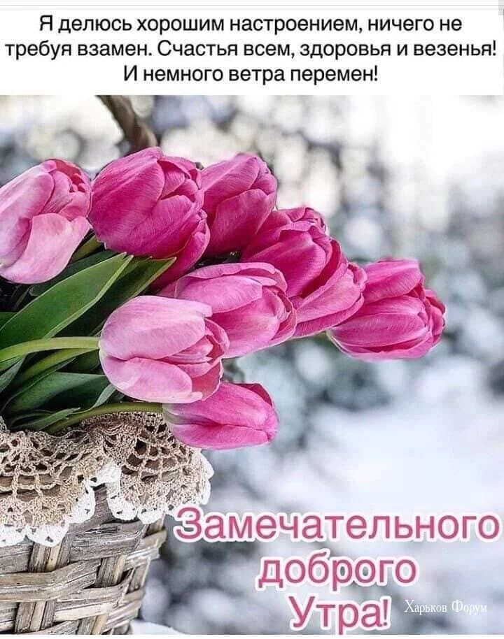 35cc7474d577c3792.webp