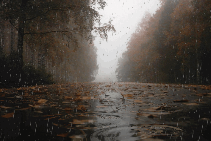 35d0aedeca3447dbb17163bc7a783189.gif