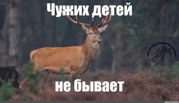 35d2372c824c8c7860290fe665c3befb.jpg