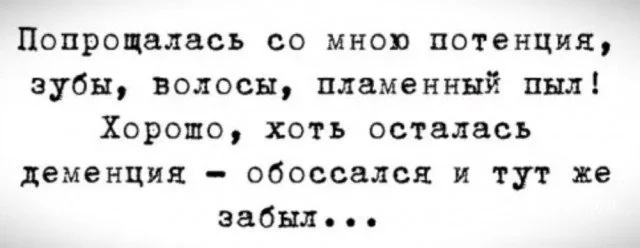 35dff69f459592059b8868.webp