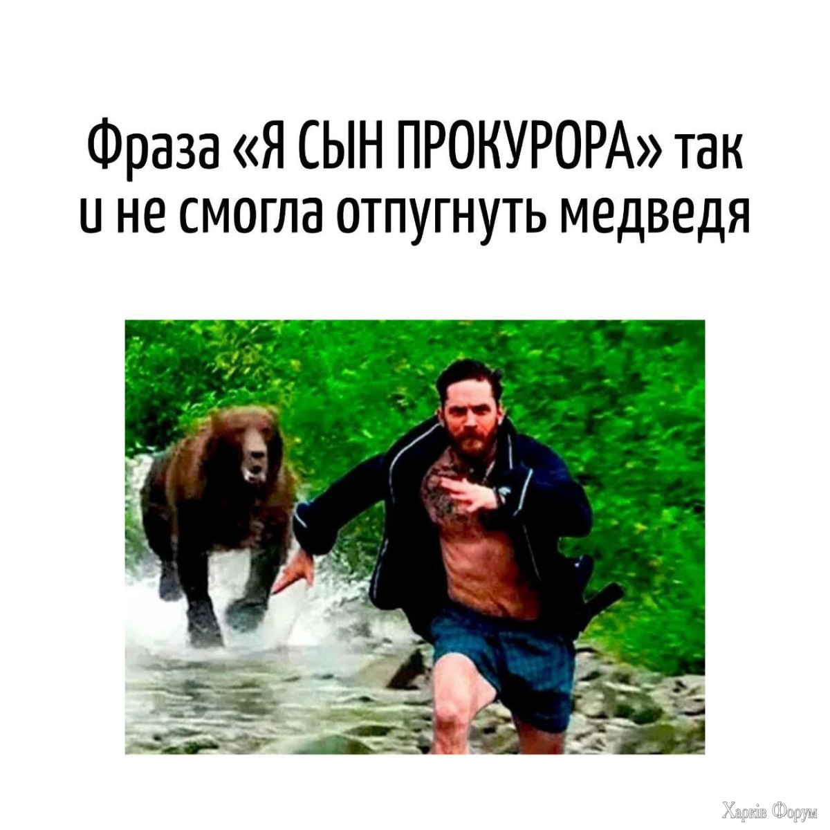 36.jpeg