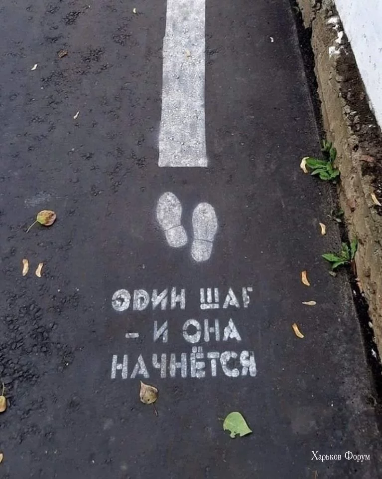 3608daa0ce80e2ae.webp