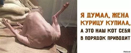 363cd353e18b25ec2178.webp