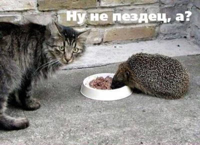 3643.webp