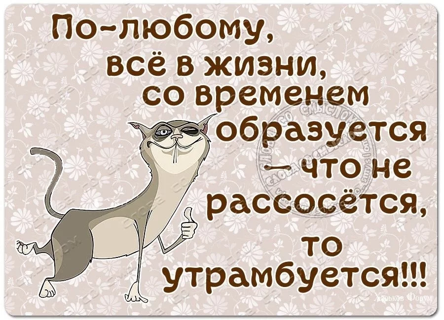 3644e97775a3ee3cd7cec7.webp