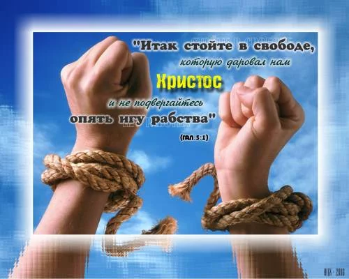 364968223.webp