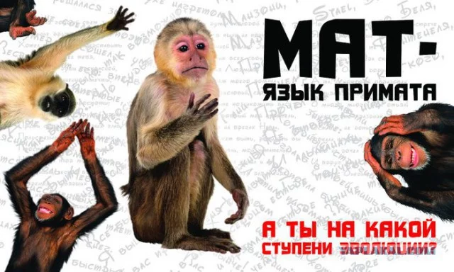 3656642.webp