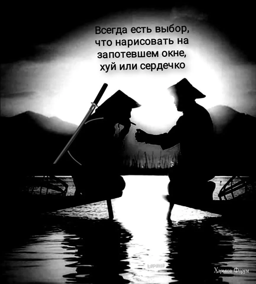 365969af7a38432bdd4c0d7.webp