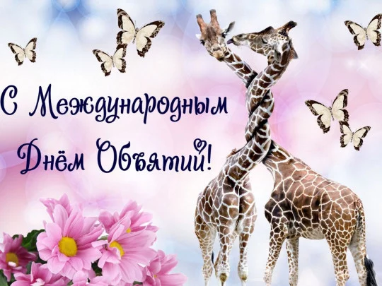 366161w540zc0.webp