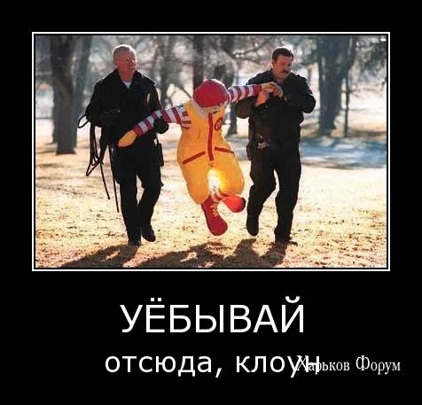 36867770b57672781a03.webp