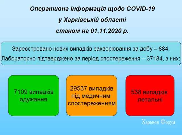 369215810b61d45c24dff2f5.webp