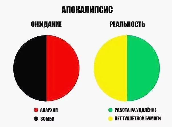 36b96bcd0d66e5708d391.webp
