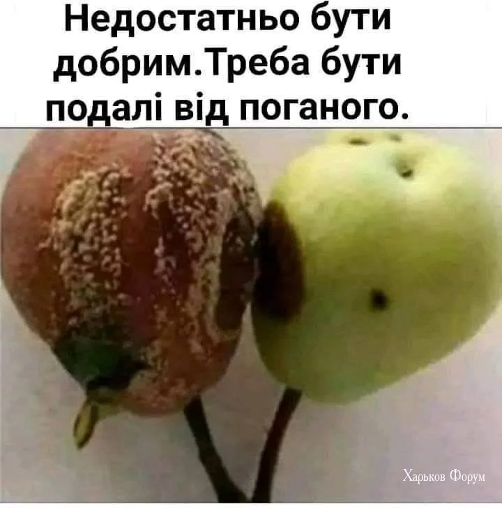 36c5ed90e689a5b65fb53338.webp