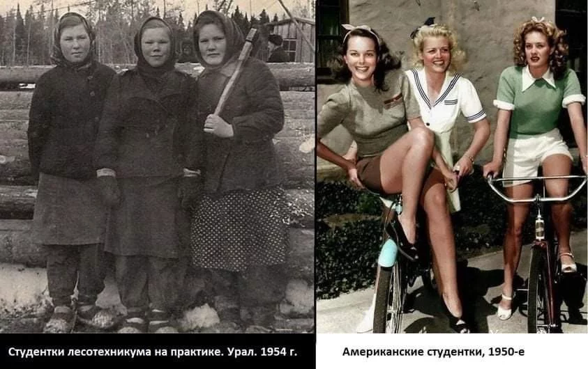 36dcb75e7d8ef0175e13.webp