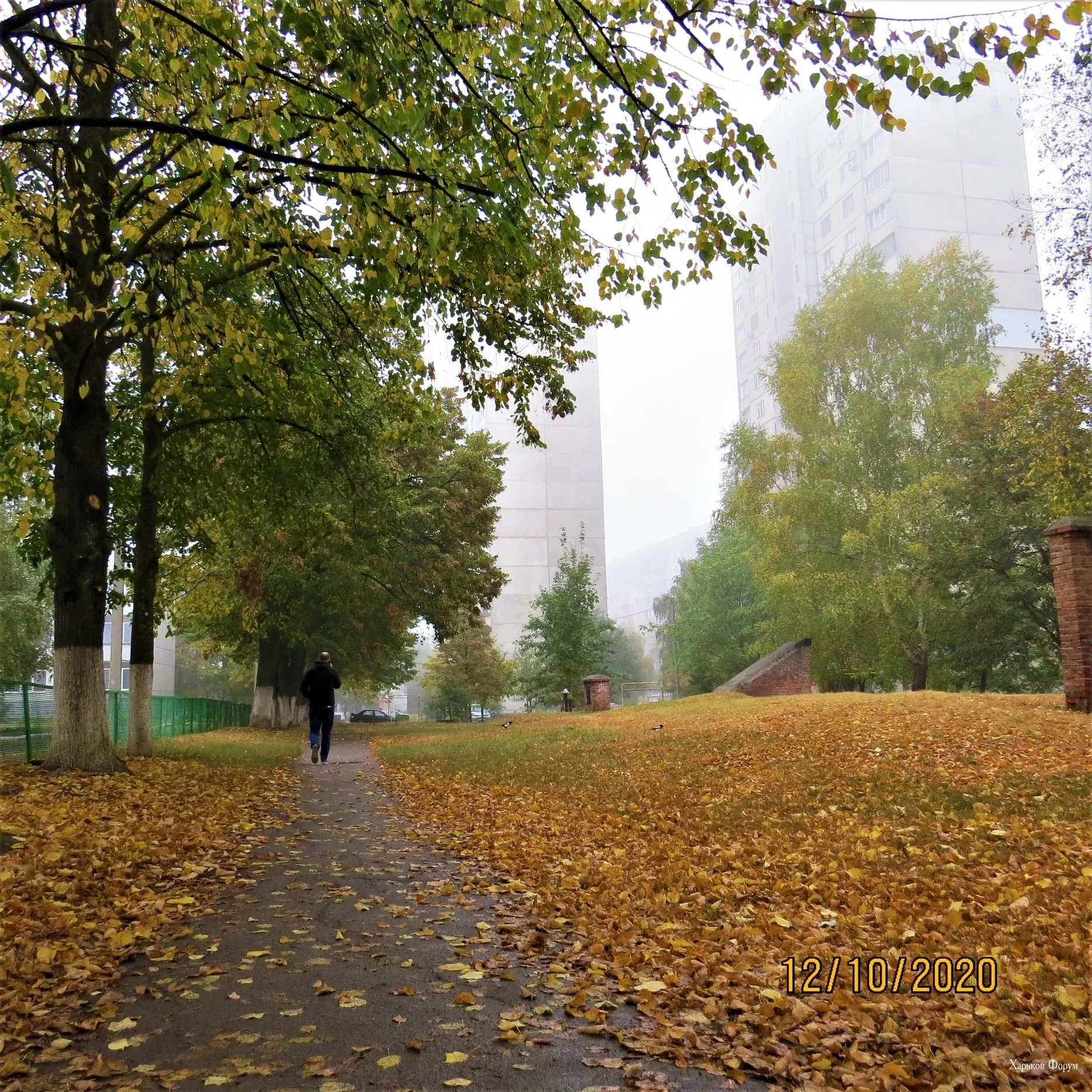 36ea663c3a267ce310206b1d.webp