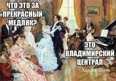36f7098396f0335e8179f3.webp