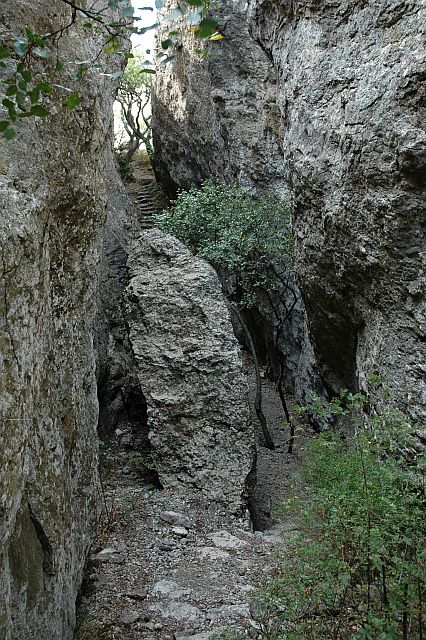 3702051_DSC_0430lestn1.jpg