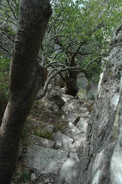 3702682_DSC_0432.webp