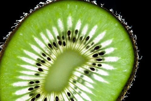3708573723_281df37f54.webp