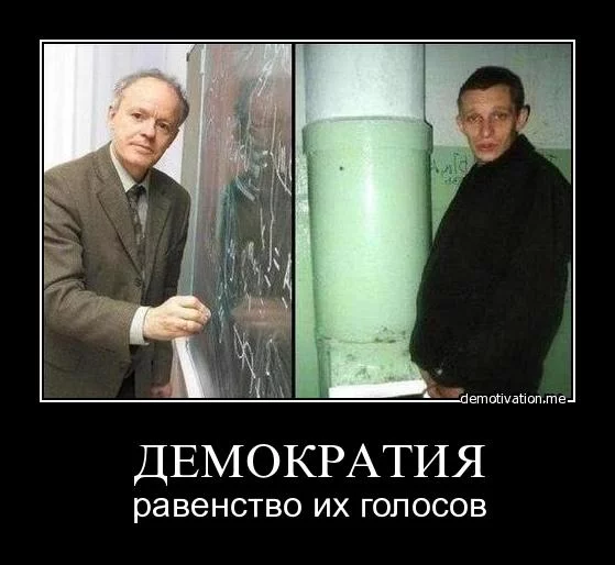 370_original.webp