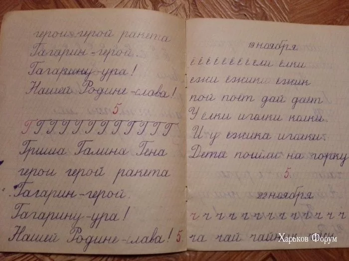 370a888a767c62f3.webp