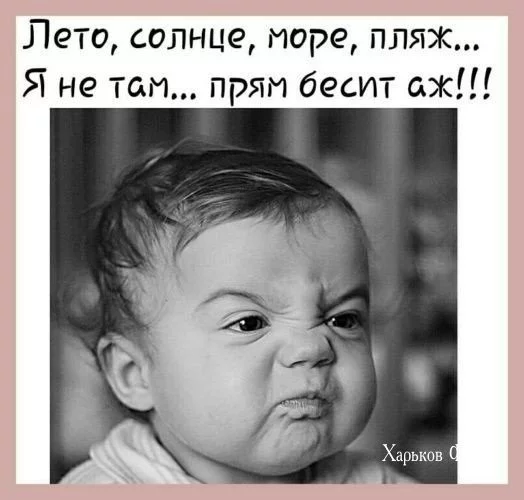 37168d31d7c72f1b.webp