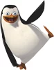 37170589.webp