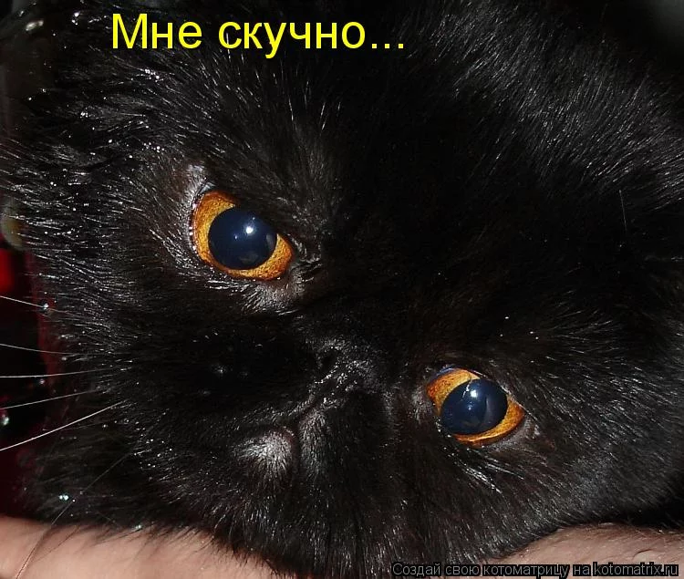 371fcab82bcc1f7a4f979dcafd265b96.webp