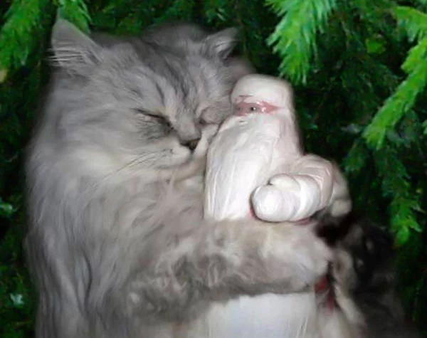 37283725_0.webp