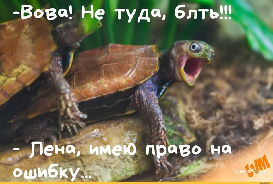 37373c9f0895f881.webp