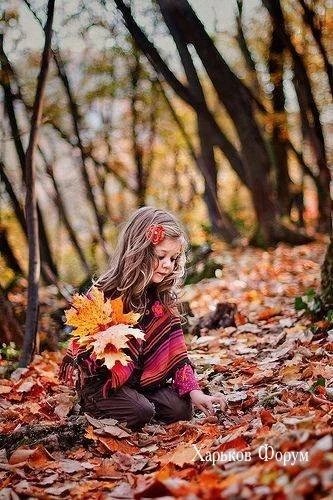 37374ef8d1bc1b157.webp