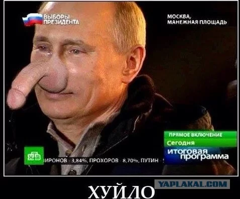 3764219.webp