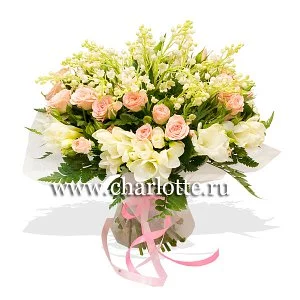 377.webp