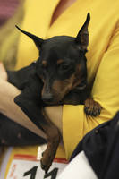 3773106_s.jpg