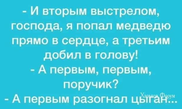 377758a66fe4dc94c8fba.webp