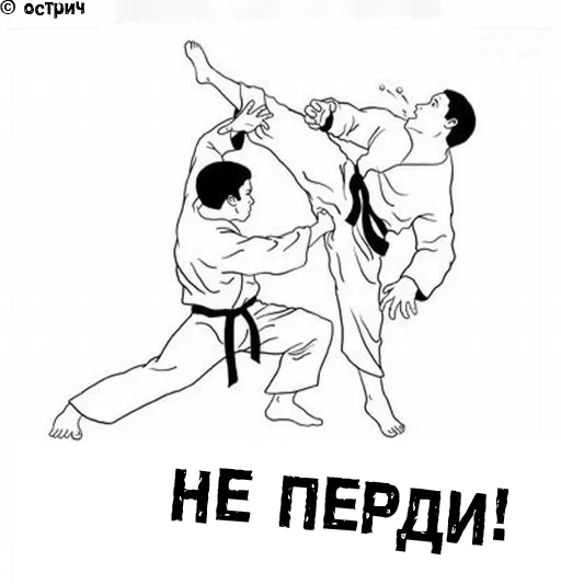 37927333_ne_perdi.webp