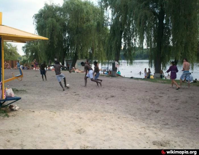37_big.webp