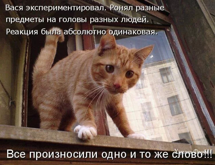 37c7b12762ec9018492def1.webp