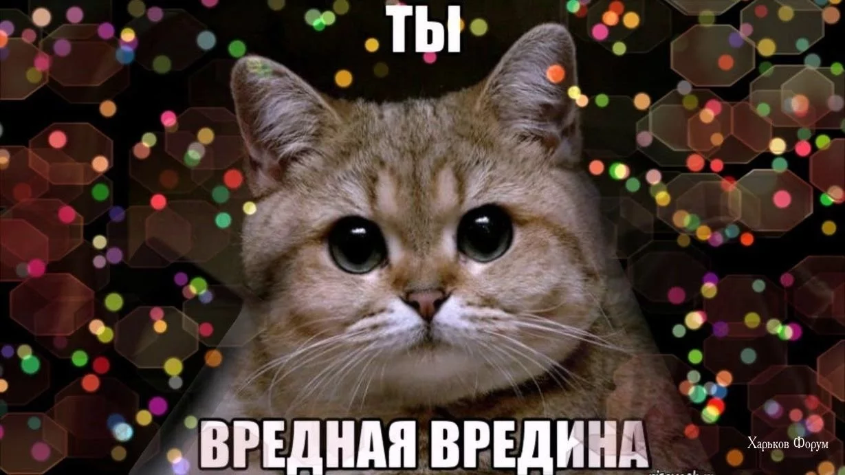 37dc06438ee8c30929c.webp