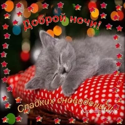 37e2f7389976c4bab.webp